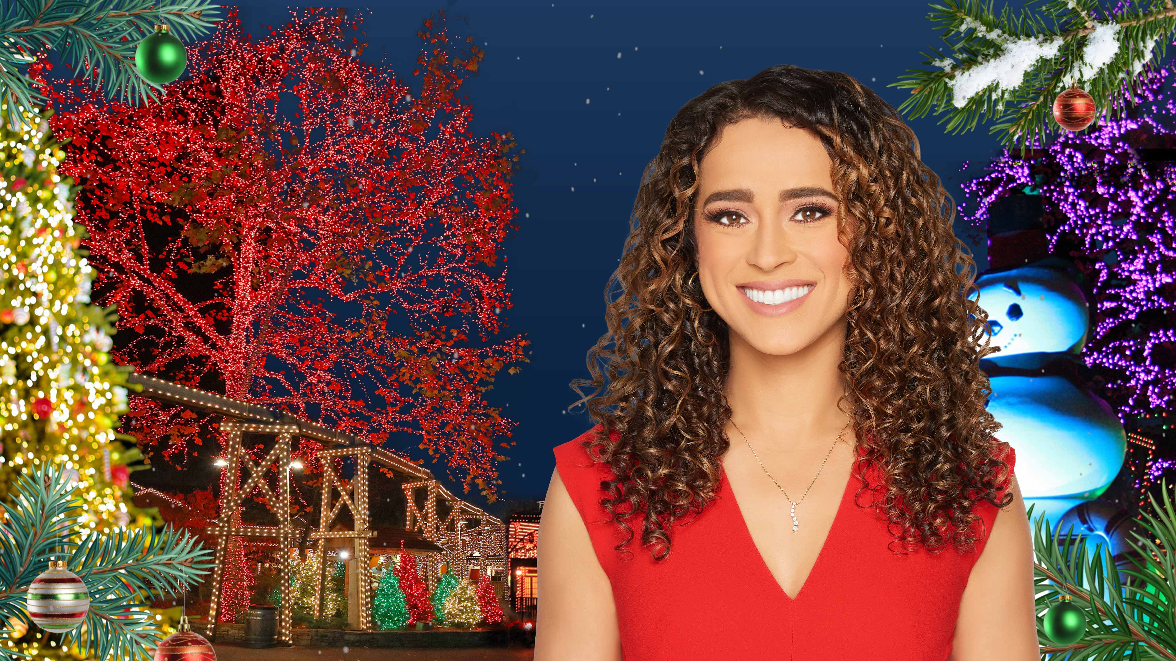 a-dollywood-christmas-nation-poster