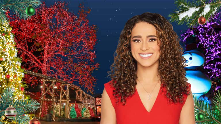 a-dollywood-christmas-nation-poster