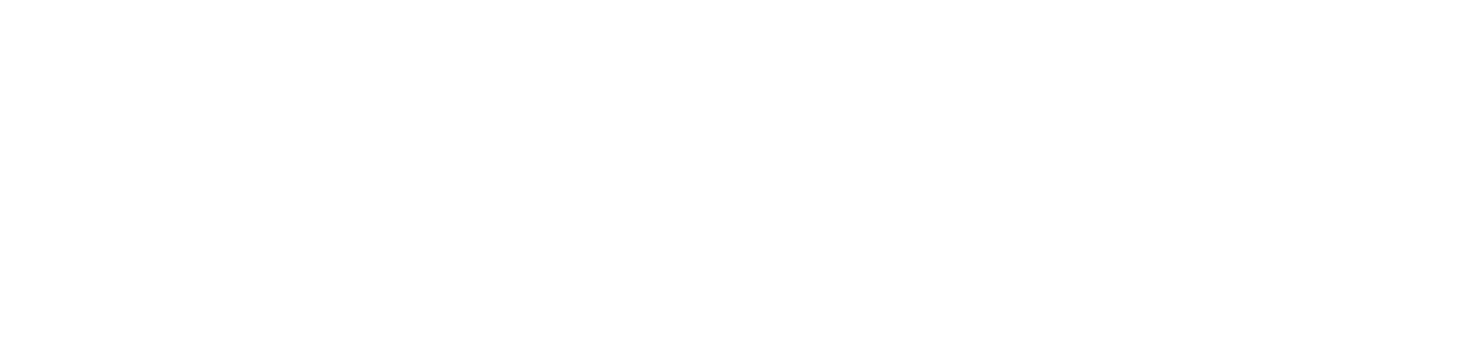 A Sean Hannity Interview logo