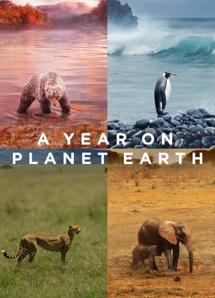 A Year on Planet Earth dcg-mark-poster
