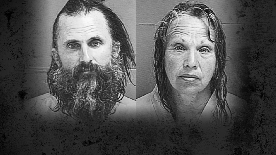 Watch American Kidnapping: Finding Elizabeth Smart (Director's Cut ...