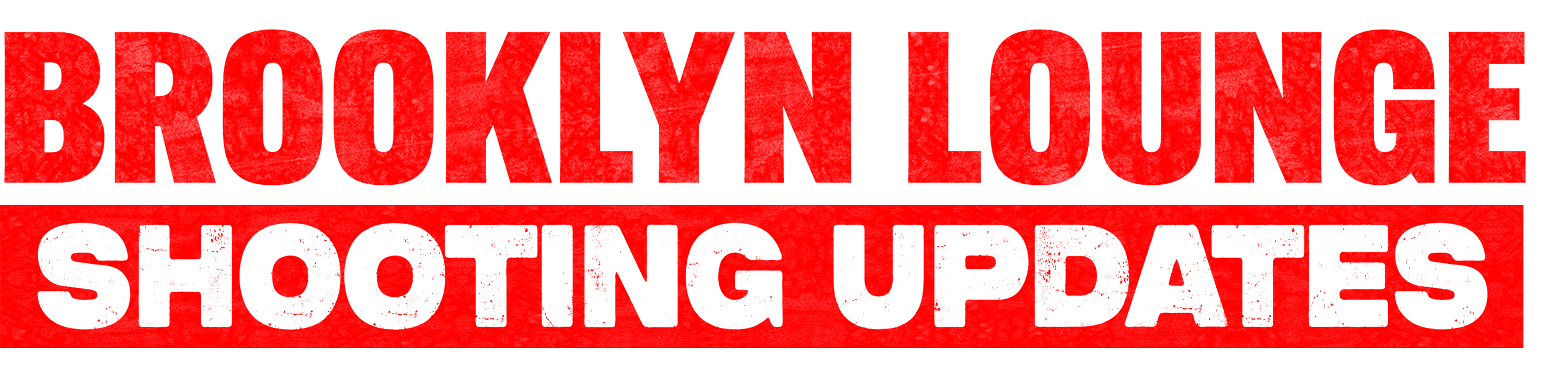 Brooklyn Lounge Shooting Updates logo