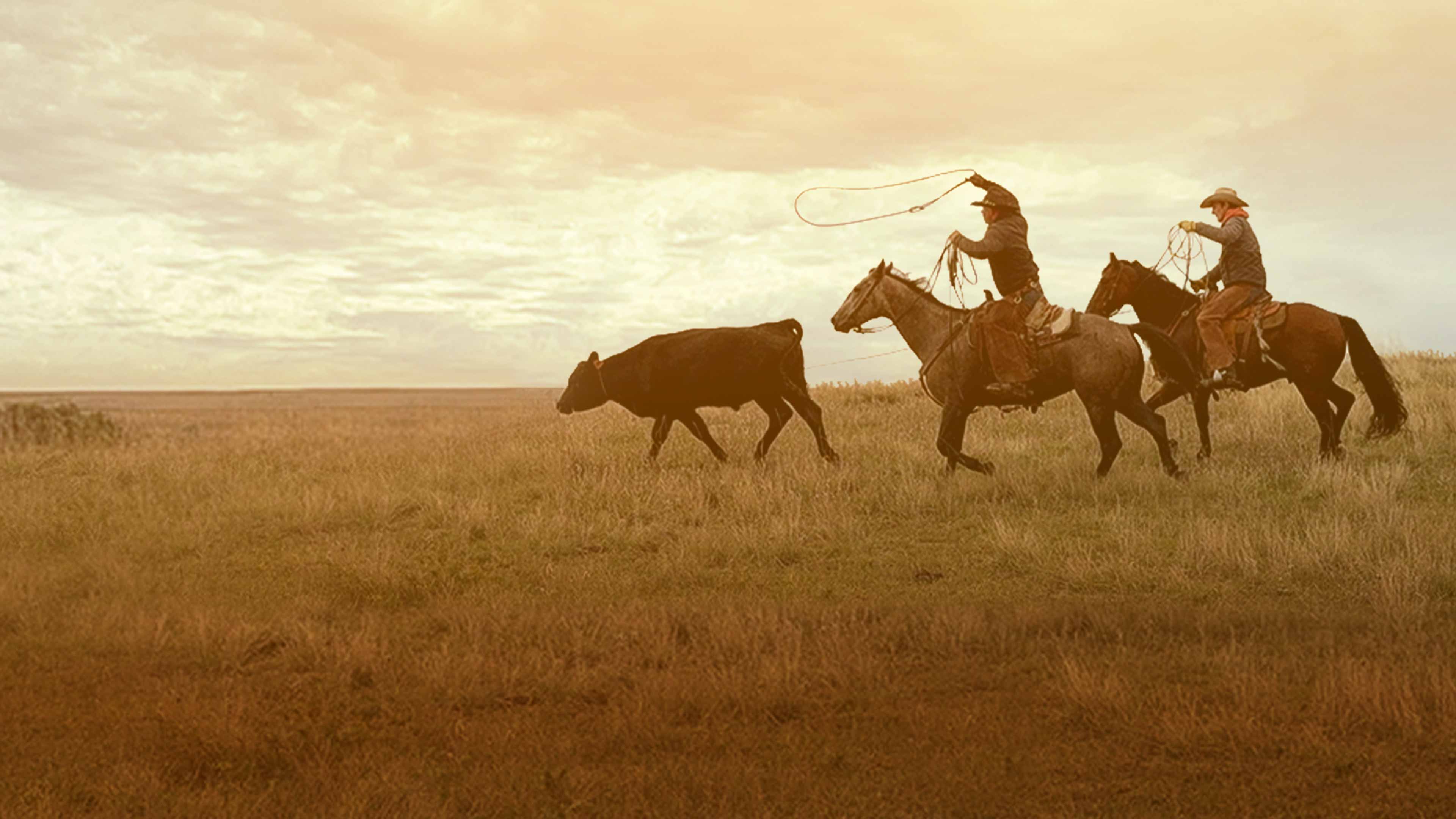 cattle-drive-american-cowboy-with-mike-tobin-nation-poster