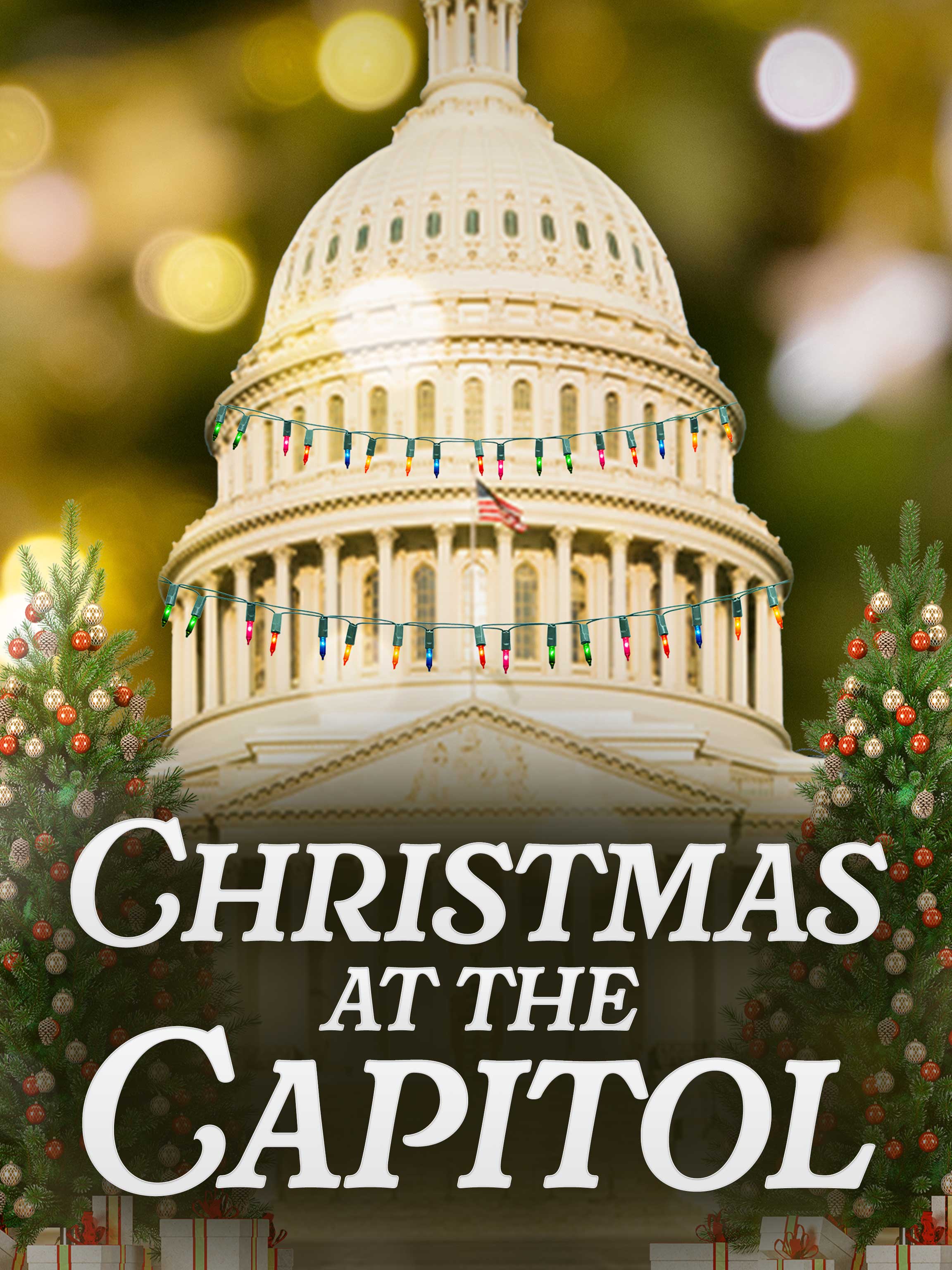 Christmas at the Capitol dcg-mark-poster