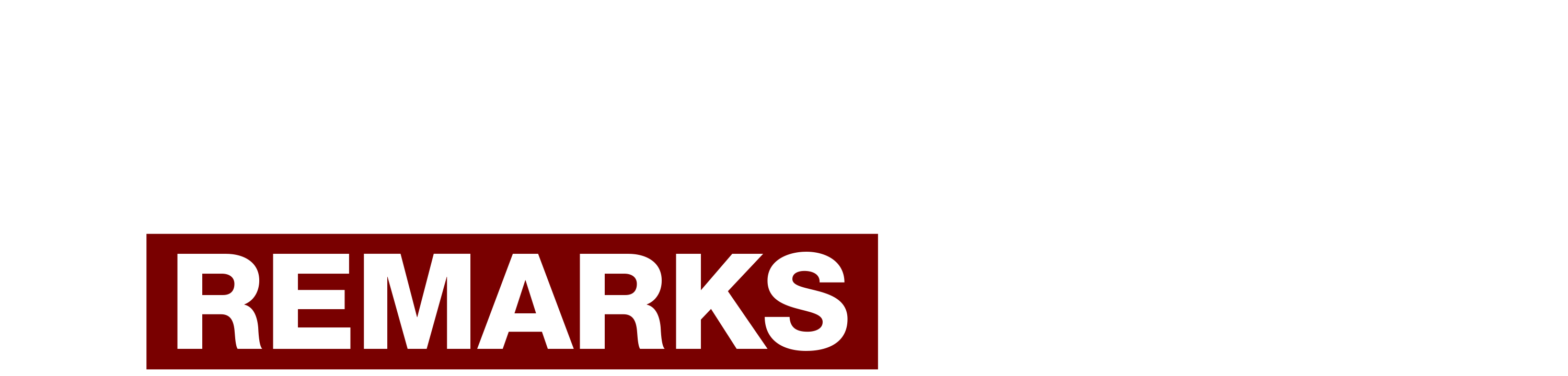 Congressman Mike Lawler Remarks logo