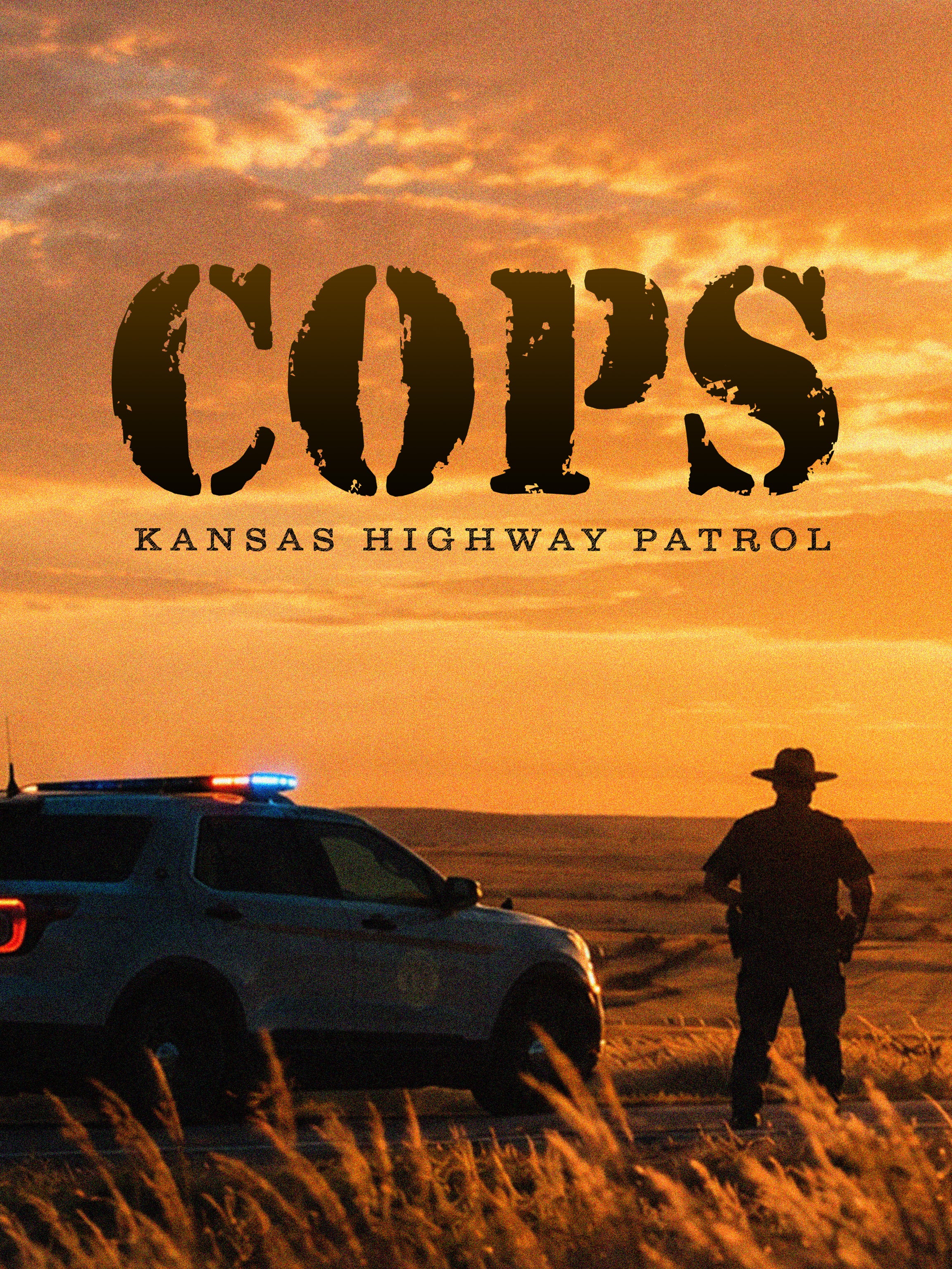 Cops dcg-mark-poster