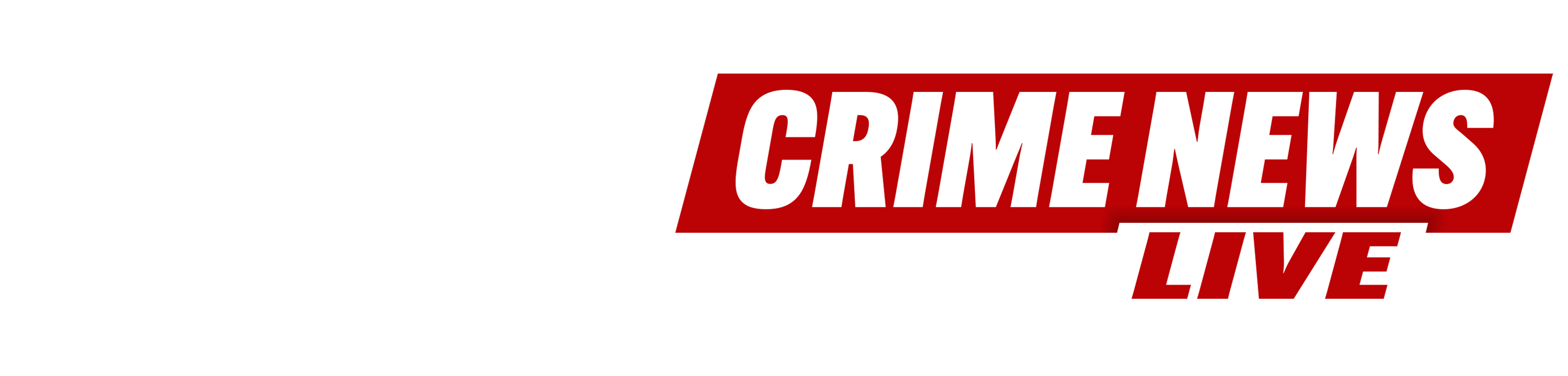 Crime News Live logo