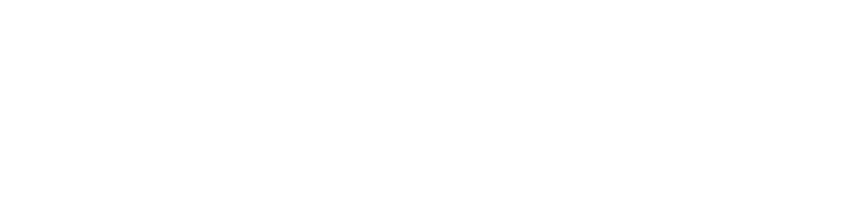 Dallas I.C.E. Facility Shooting logo