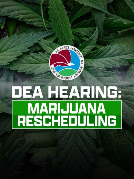 DEA Hearing: Marijuana Rescheduling dcg-mark-poster