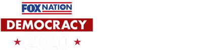 Democracy 2020 logo