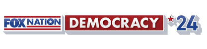 Democracy 2024 logo