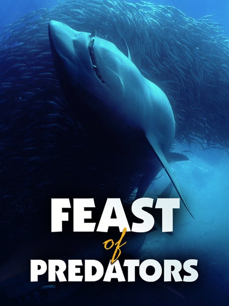 Feast of Predators dcg-mark-poster