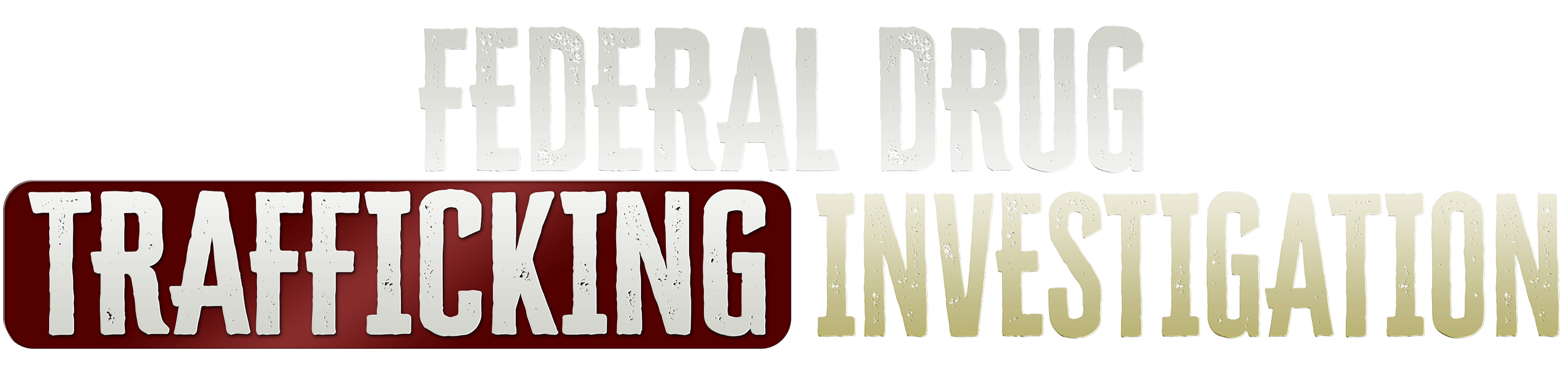 Federal Drug Trafficking Investigation logo