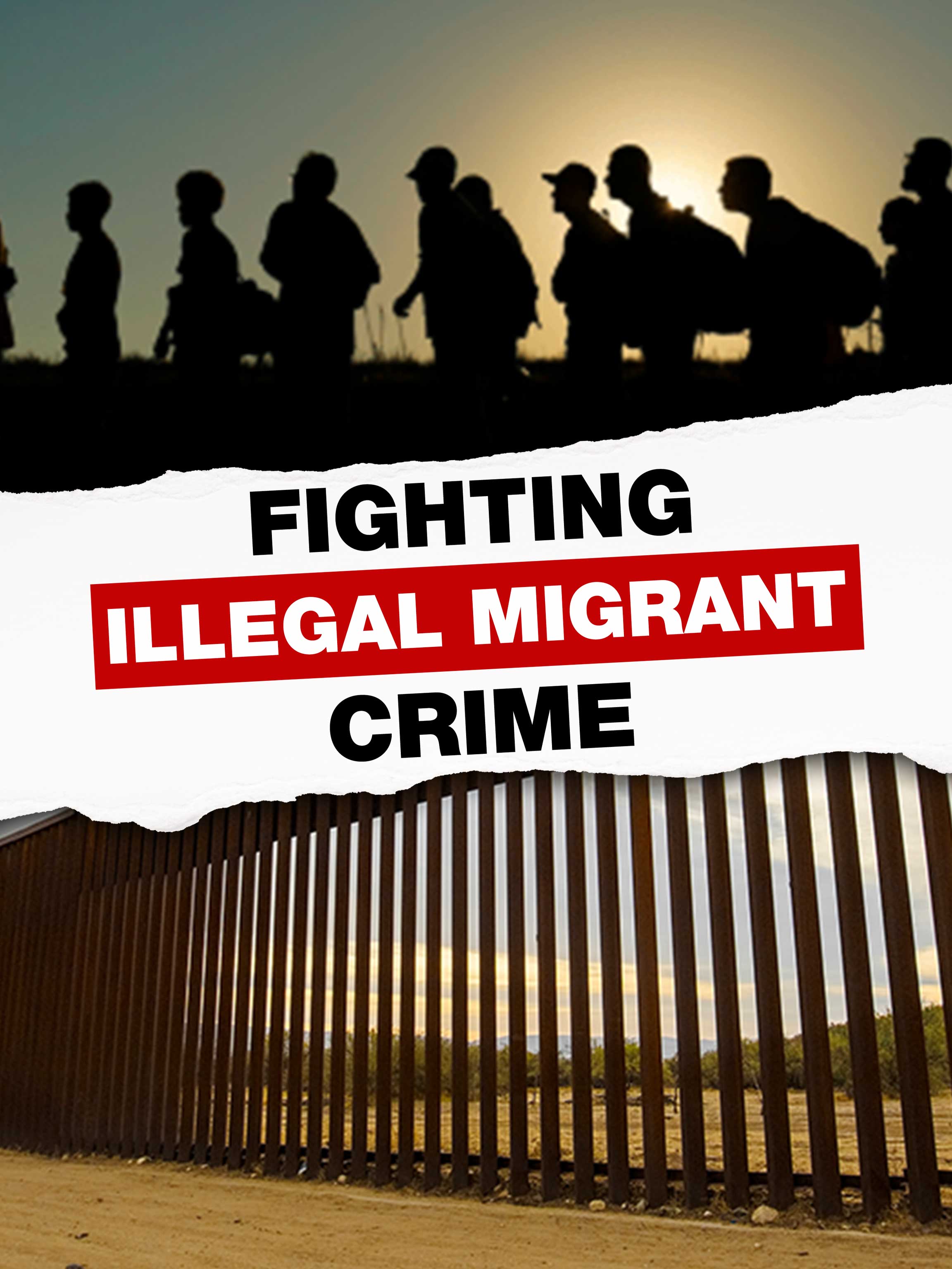 Fighting Illegal Migrant Crime dcg-mark-poster