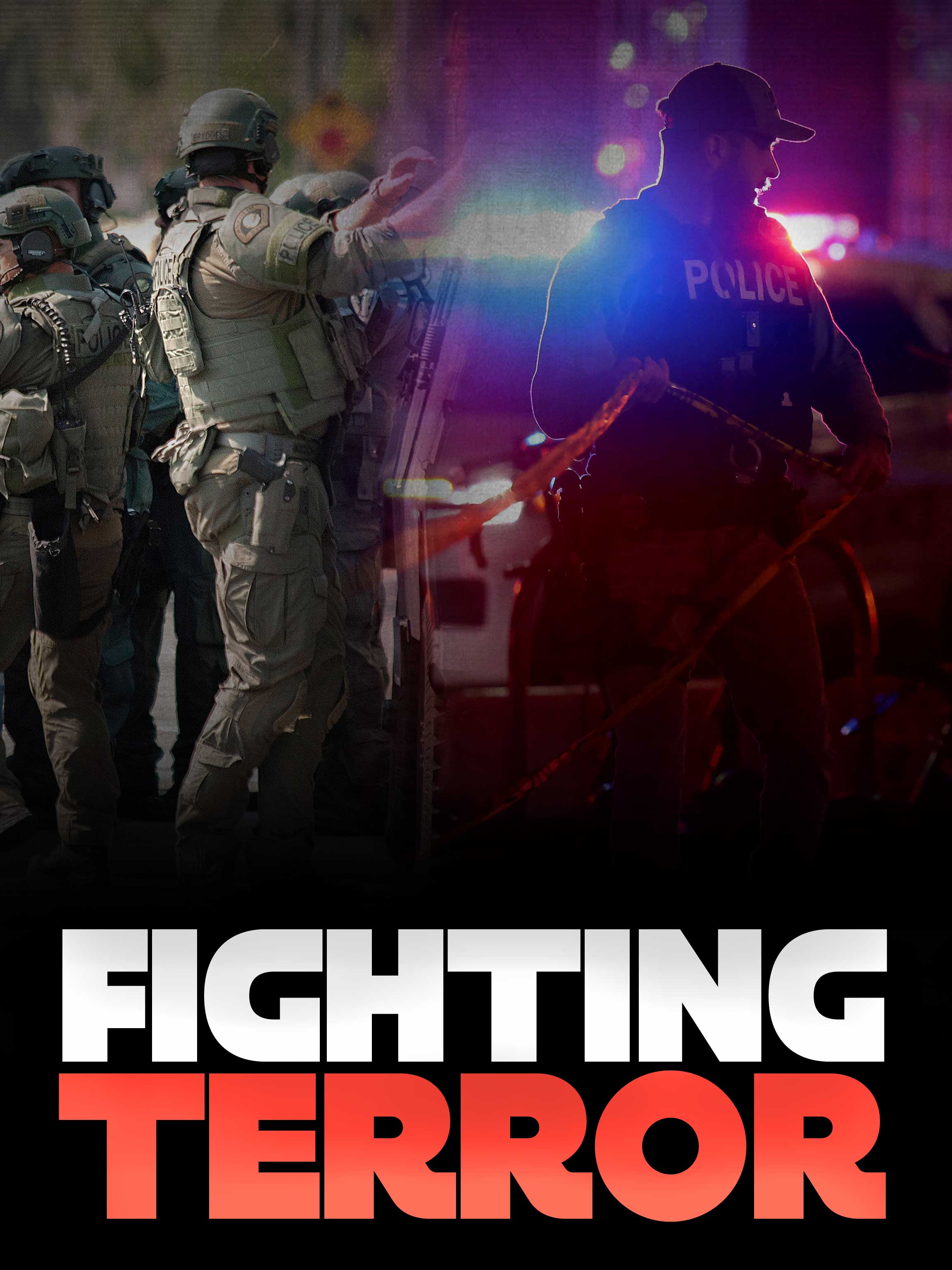 Fighting Terror dcg-mark-poster
