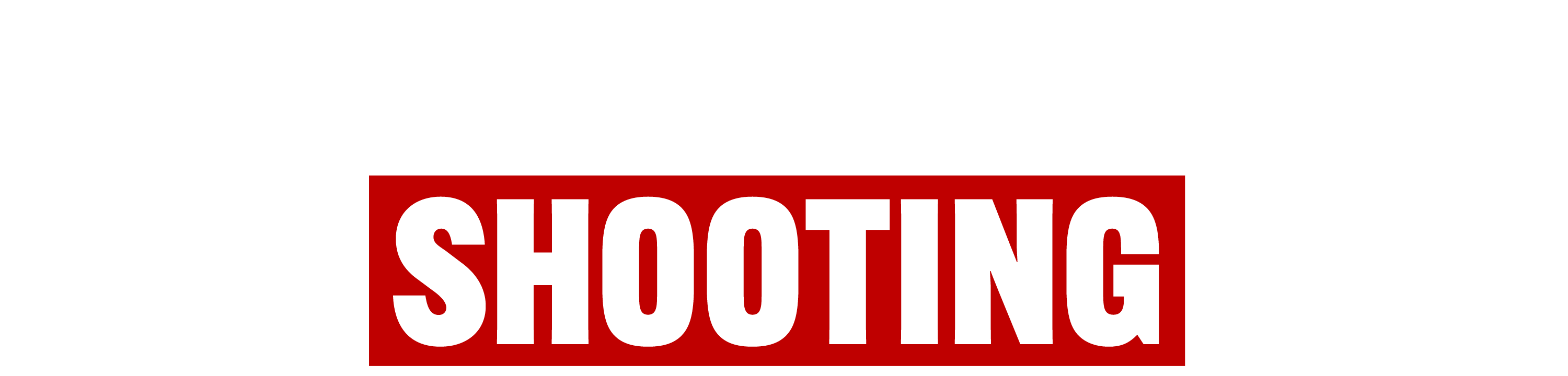 Georgia Army Base Shooting logo
