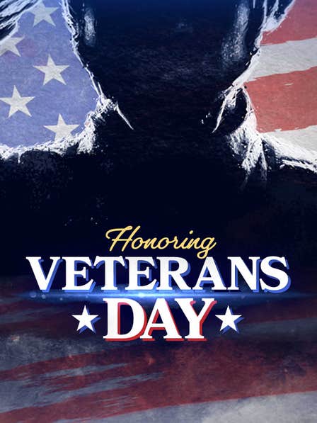 Honoring Veterans Day dcg-mark-poster
