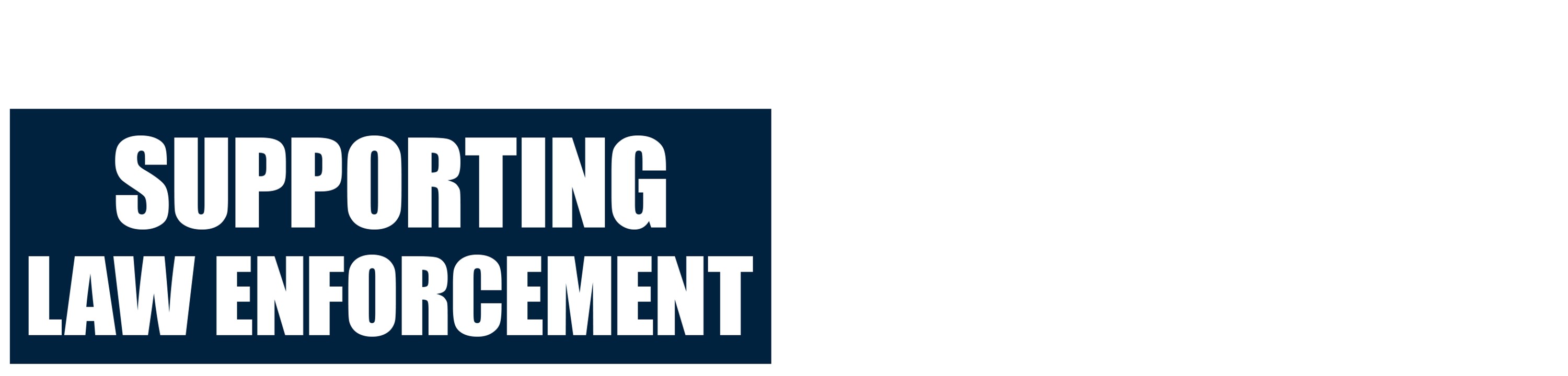 House Hearing: Supporting Law Enforcement logo