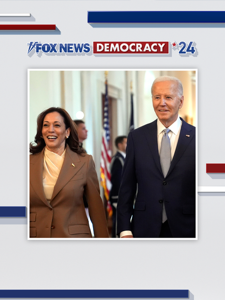 Joe Biden: Democracy 2024 dcg-mark-poster