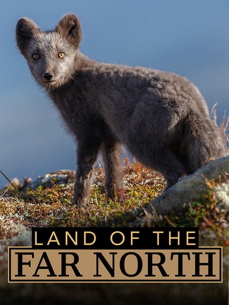 Land of the Far North dcg-mark-poster