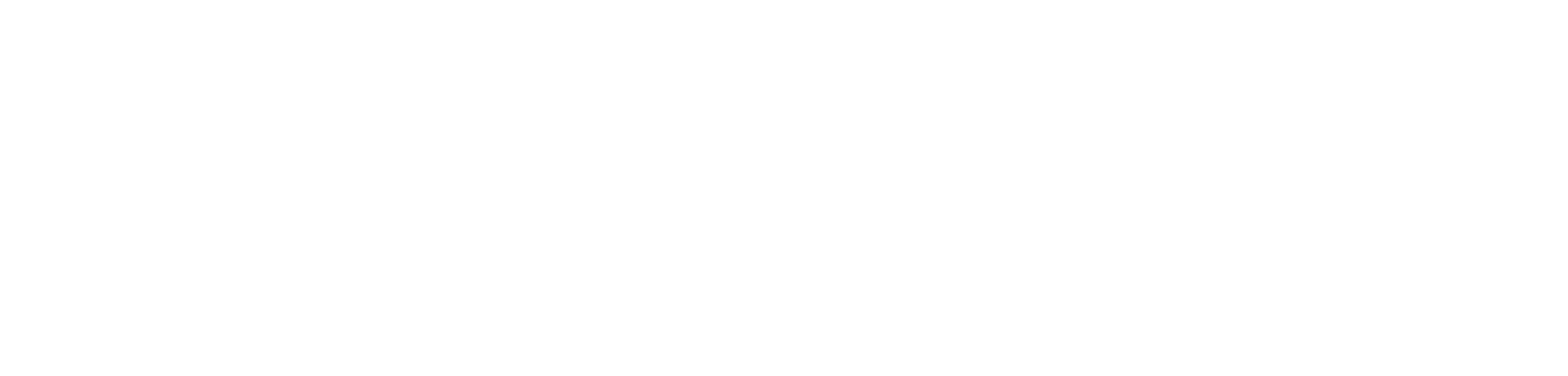 Meet the American logo