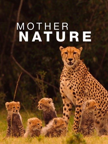 Mother Nature dcg-mark-poster