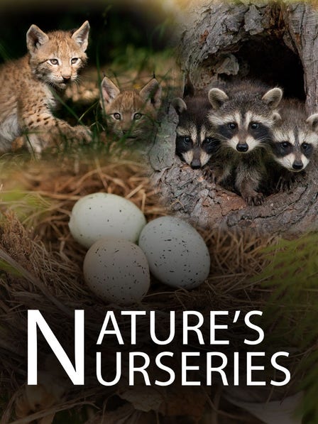 Nature's Nurseries dcg-mark-poster