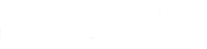 New Hampshire Primary: Democracy 2024 logo