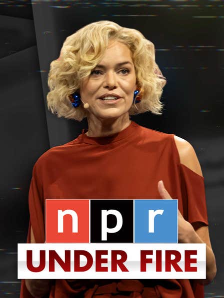 NPR Under Fire dcg-mark-poster