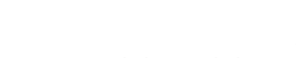 Perry Johnson: Democracy 2024 logo