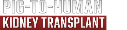 Pig-to-Human Kidney Transplant logo