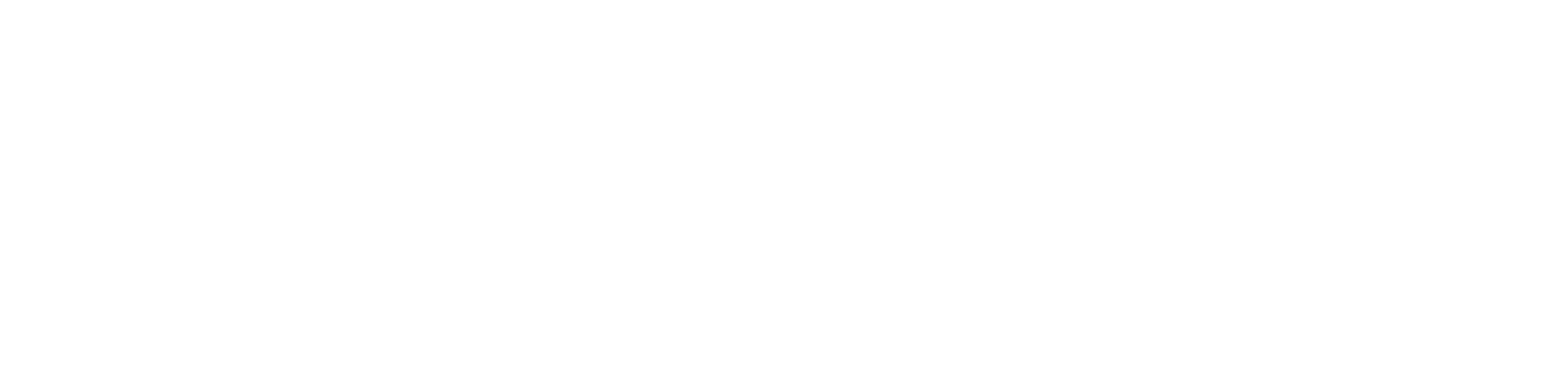 Preserving Election Integrity logo