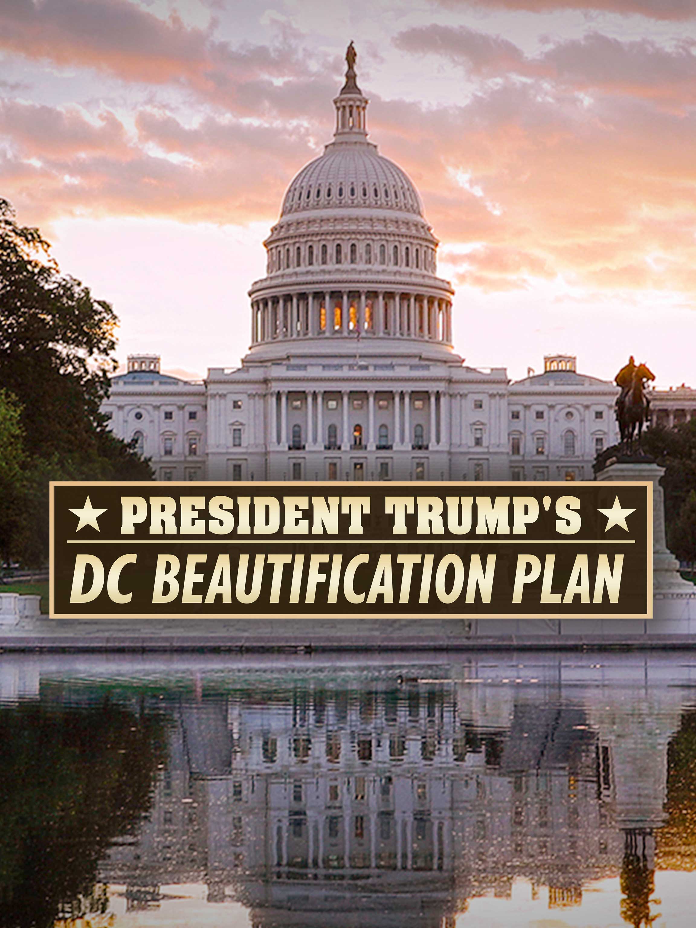 President Trump's DC Beautification Plan dcg-mark-poster