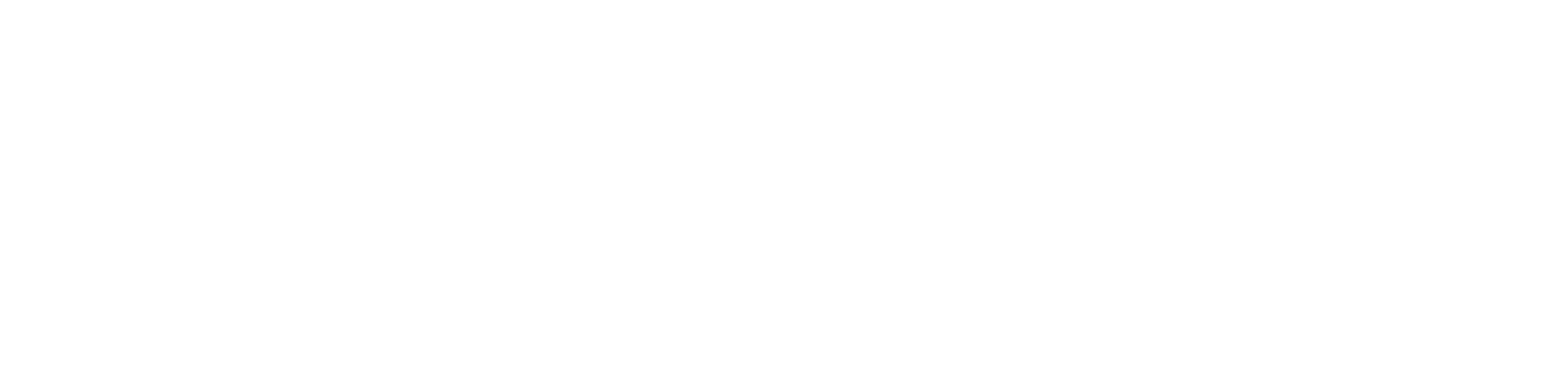 Deadly Seattle Shooting logo