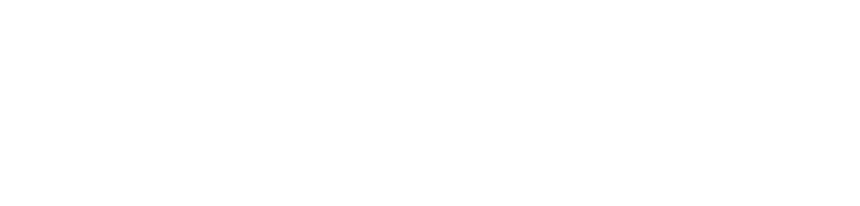 Real American Freestyle logo