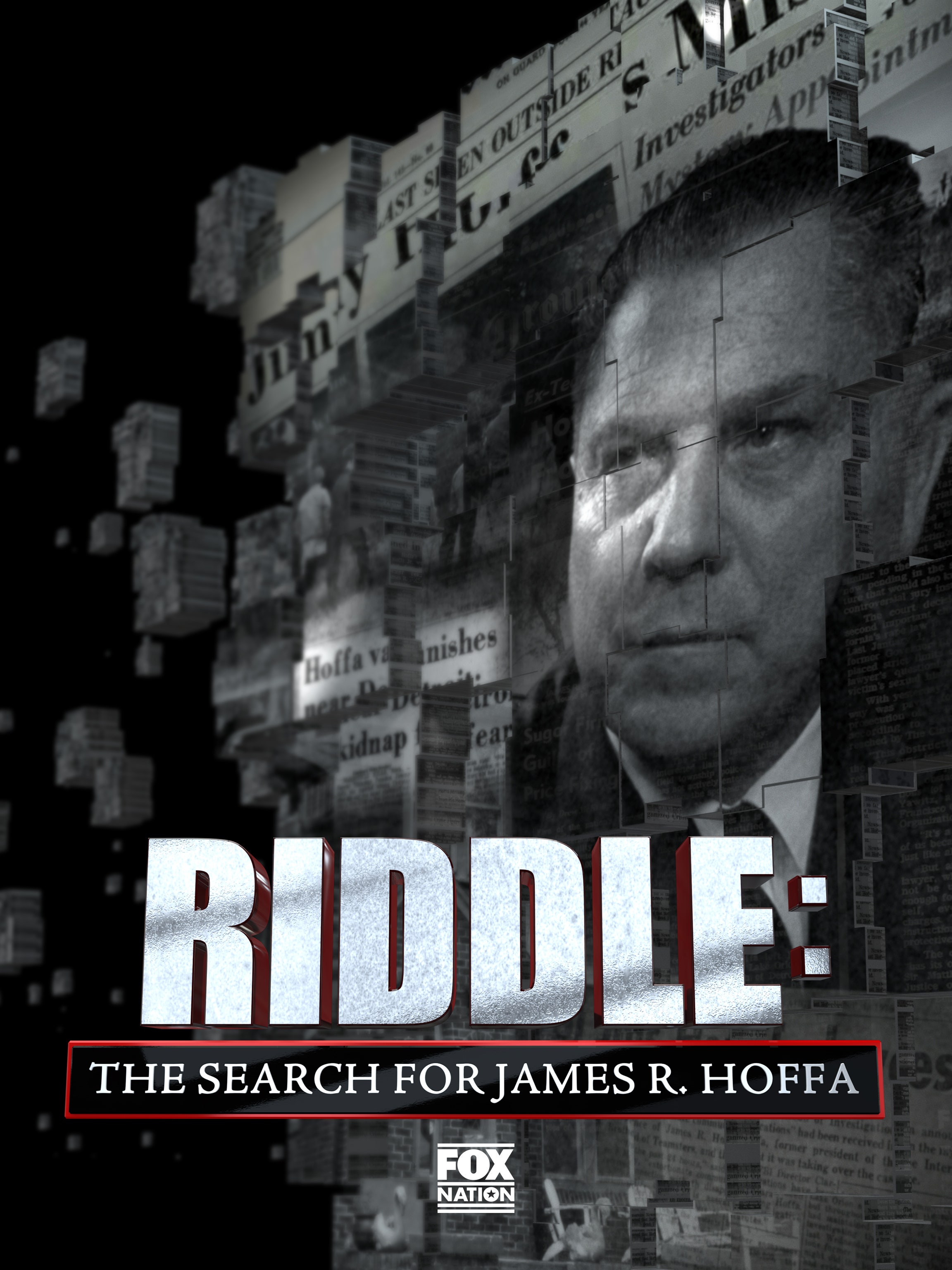 Riddle: The Search for James R. Hoffa dcg-mark-poster