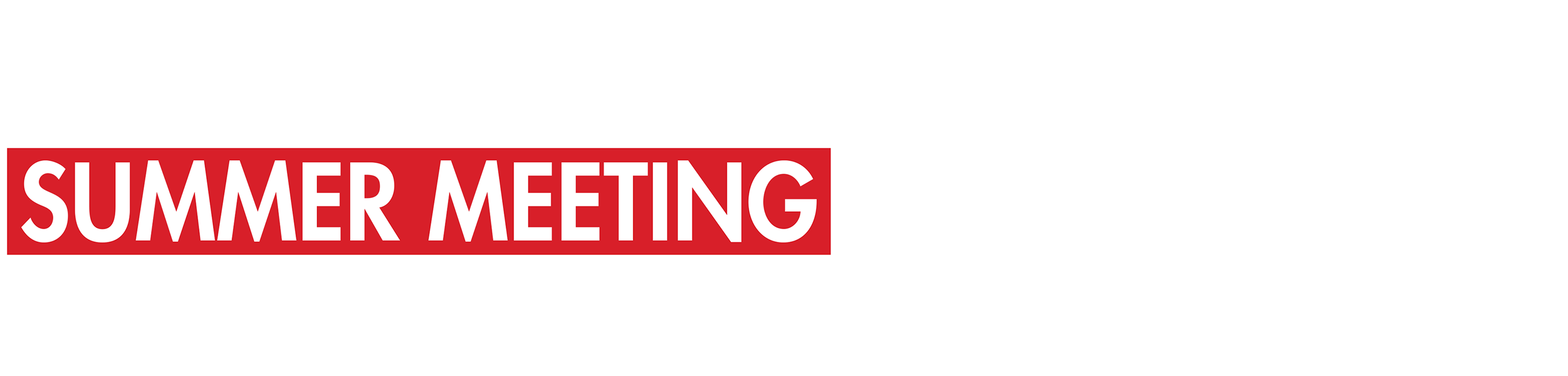 RNC Summer Meeting 2025 logo
