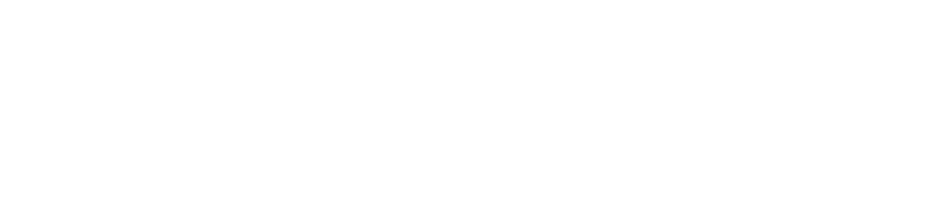 SEAL Swim logo