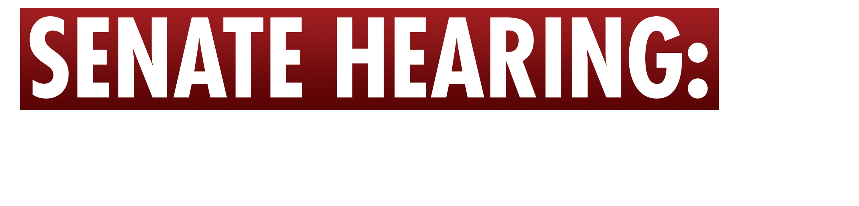 Senate Hearing: Sanctuary Cities logo