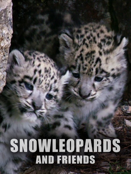 Snow Leopards and Friends dcg-mark-poster