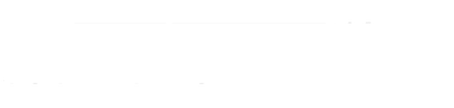 South Carolina Primary: Democracy 2024 logo