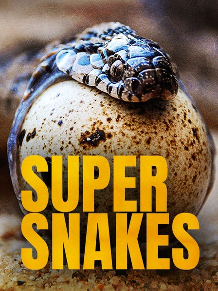 Super Snakes dcg-mark-poster