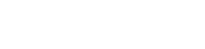 Super Tuesday: Democracy 2024 logo