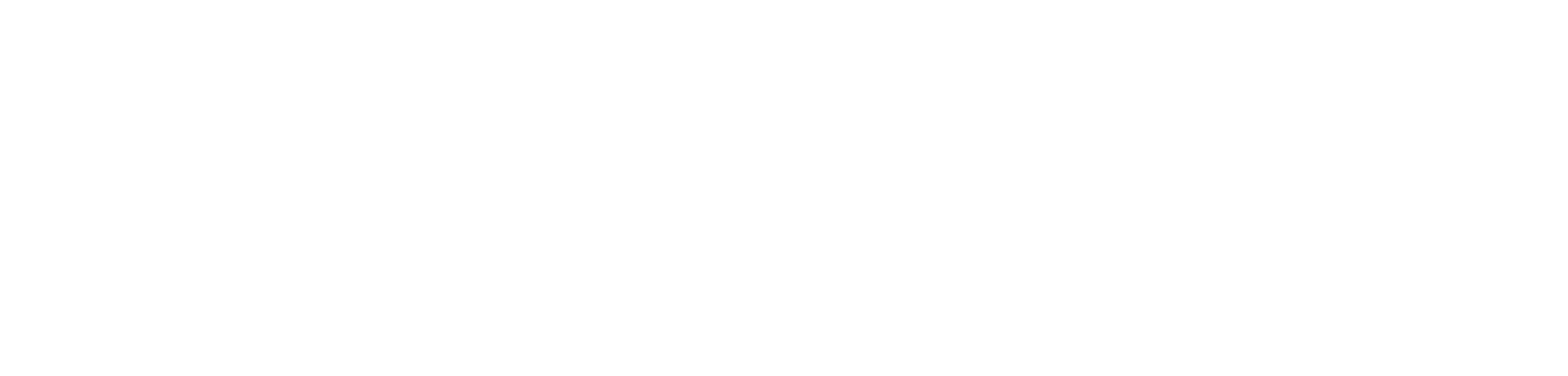 Texas Youth Summit logo