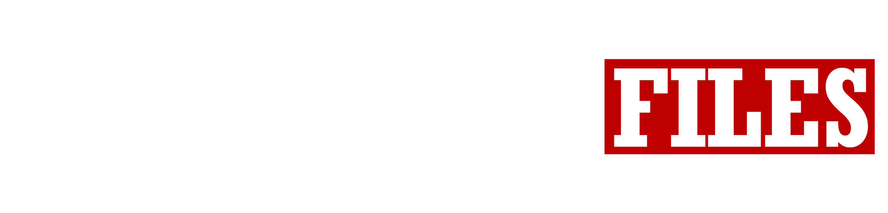 The Epstein Files logo