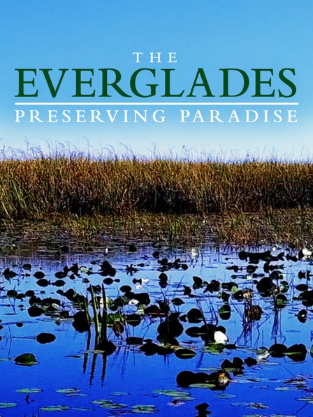 The Everglades: Preserving Paradise dcg-mark-poster