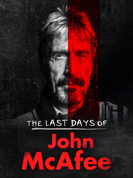 The Last Days of John Mcafee dcg-mark-poster