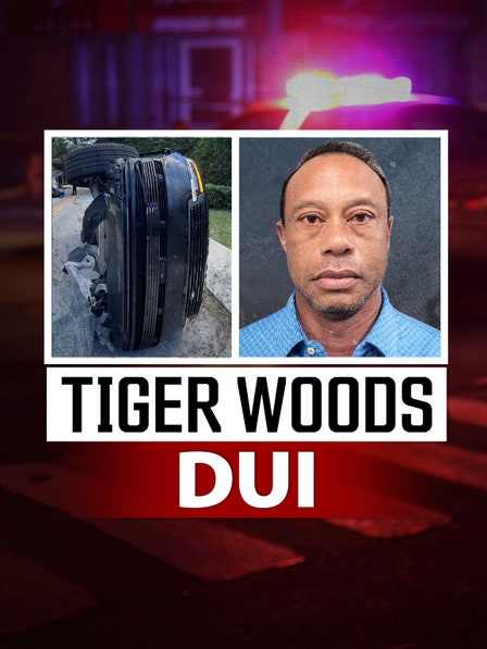 Tiger Woods DUI dcg-mark-poster