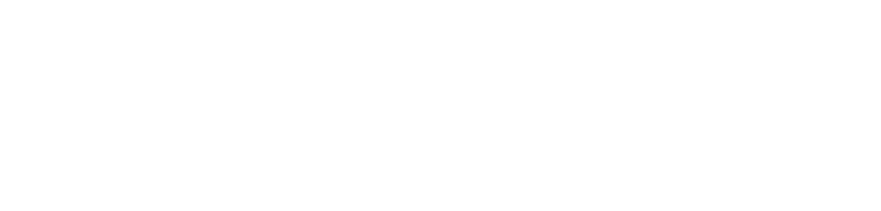 Tiger Woods DUI logo