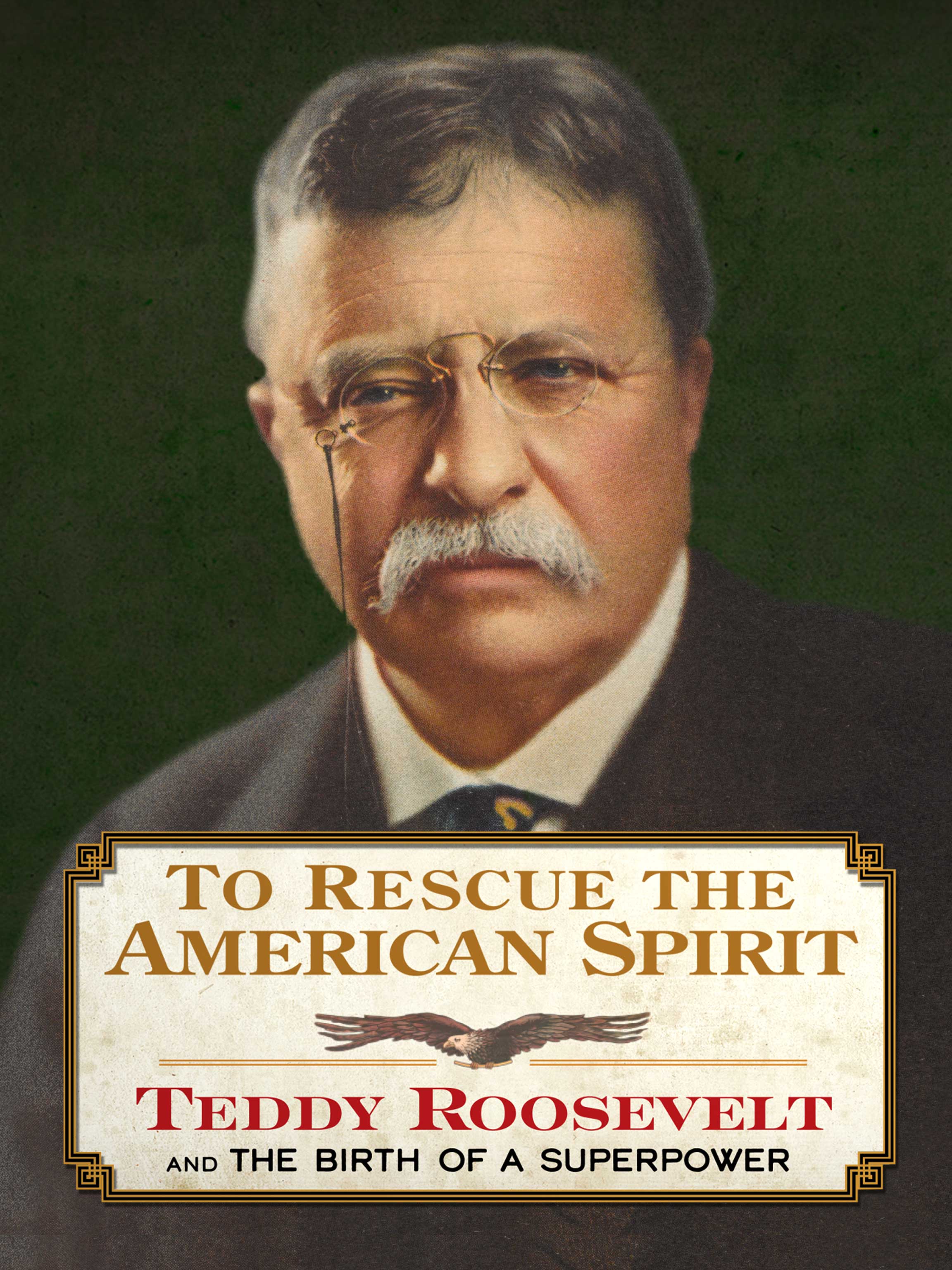 To Rescue the American Spirit dcg-mark-poster